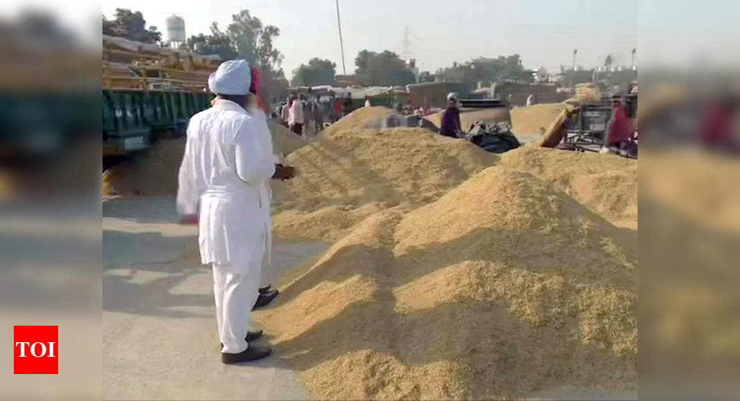 '16k tonnes of paddy bought at MSP in last 72 hrs'