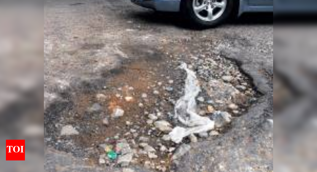 BBMP administrator asks officials to fix Sarjapur Road issues immediately Bengaluru News