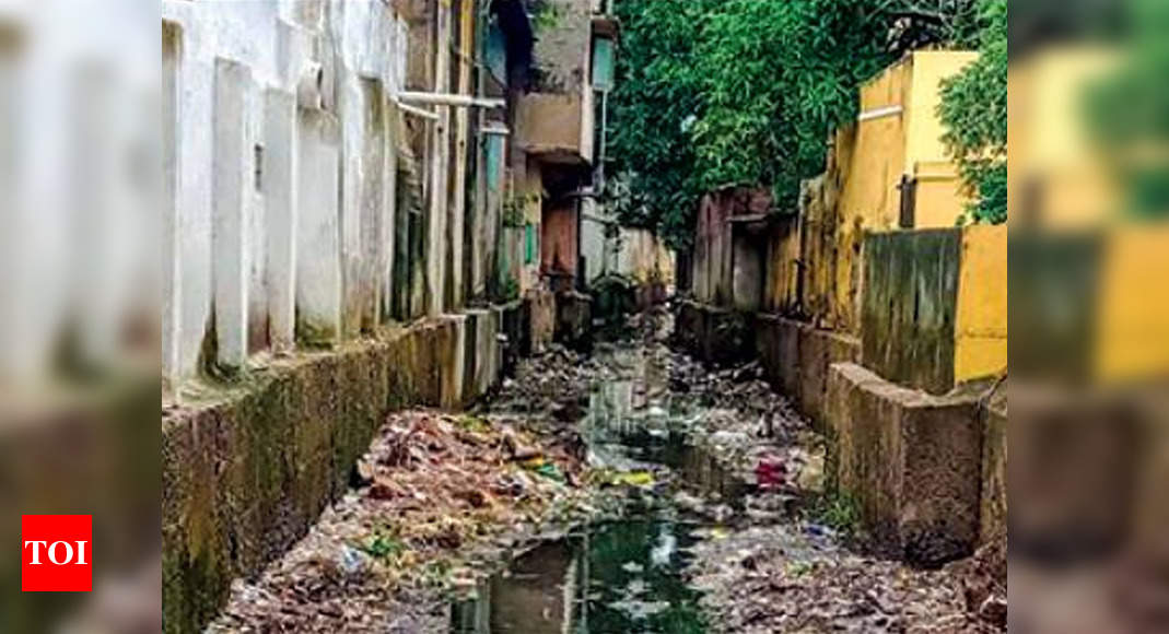 Chennai: Sewage inflow plugged, NGT was told, but Pallavaram Lake
