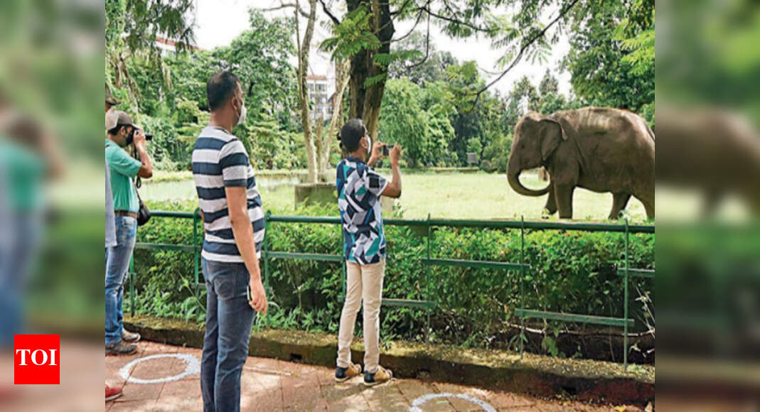 After Covid break, Kolkata zoo reopens with 700 visitors Kolkata News