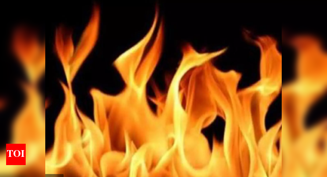 Rajasthan: Driver burnt alive as truck catches fire after crash ...