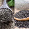 Chia vs Sabja seeds What is the difference and which one is