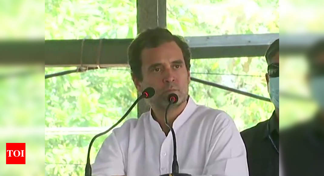 Cong will scrap the 3 black laws: Rahul to farmers