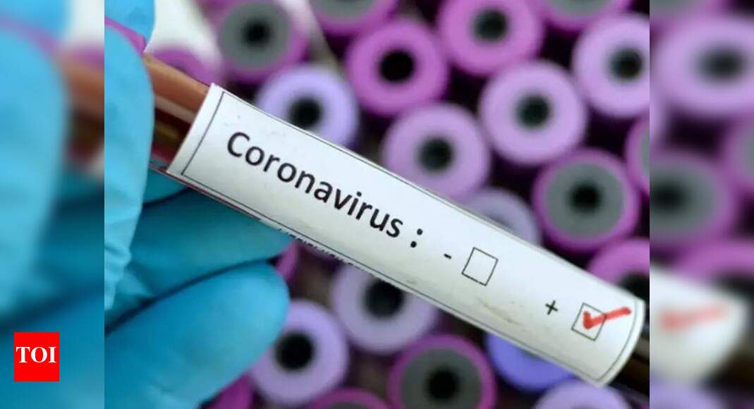 India covid 19 deaths: 511 less covid-19 deaths than last week in india | india news - times of india