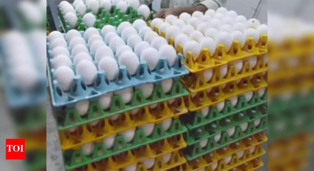 Wholesale price of eggs hits a record high in Tamil Nadu | Chennai News