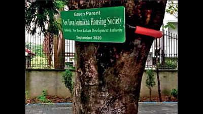 West Bengal: Residents become green parents to save roadside trees in New Town