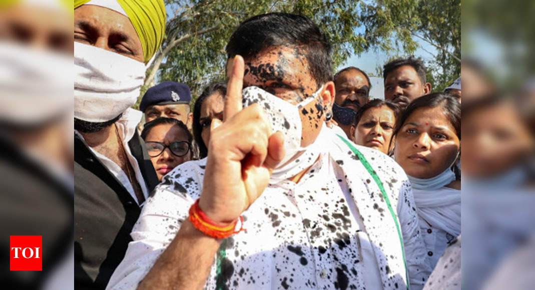 UP: Ink thrown at AAP MP Sanjay Singh in Hathras