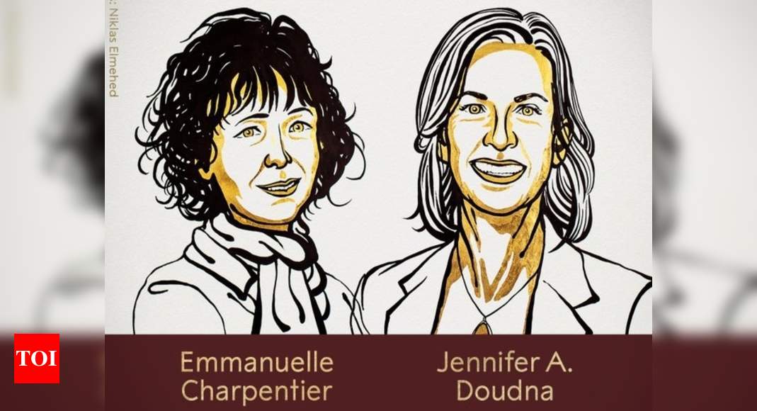 Nobel Prize 2020: Nobel Prize in Chemistry awarded to Emmanuelle  Charpentier and Jennifer A Doudna | India News - Times of India