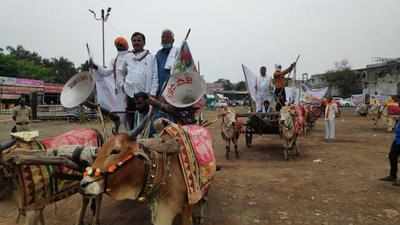 Bullock cart rally held to protest farm laws