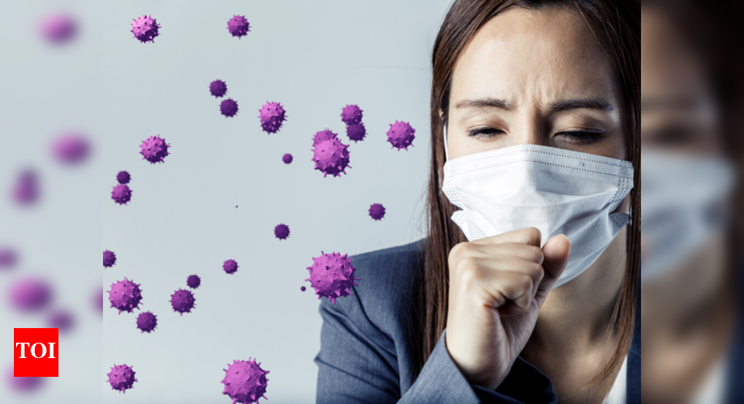 Humans can transmit Covid19 virus to wildlife Study Times of India