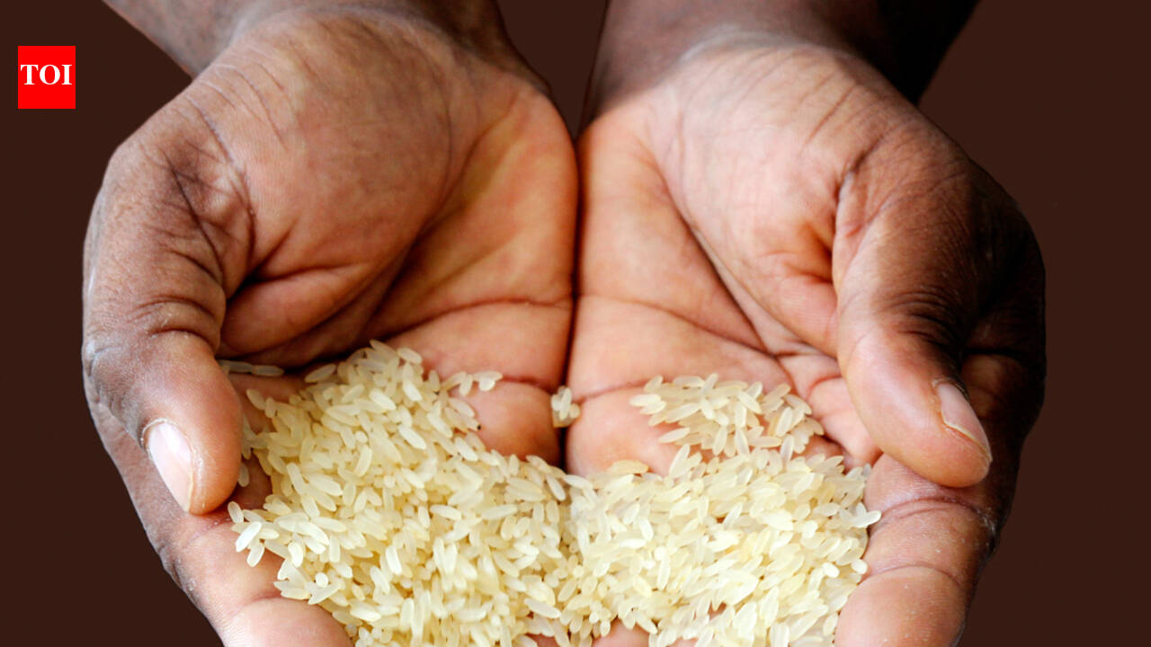 Now Pakistan says Basmati rice belongs to them, challenges India's ...