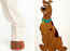 Givenchy's three-toed sandals remind us of Scooby Doo's feet