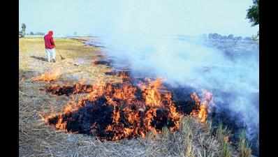 UP government in firefighting mode after 33 crop burning cases