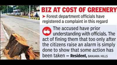 Chopping of tree irks residents, urge authorities to fine Rs 10 lakh