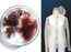 Are you ready to be in a symbiotic relationship with your clothes?