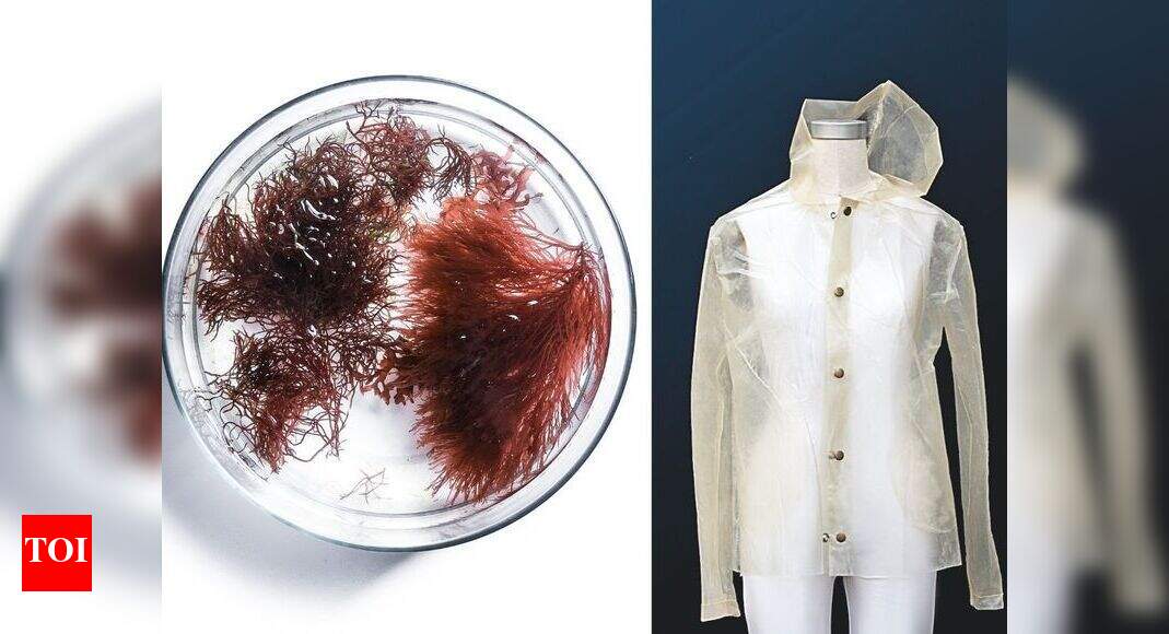 Are you ready to be in a symbiotic relationship with your clothes ...