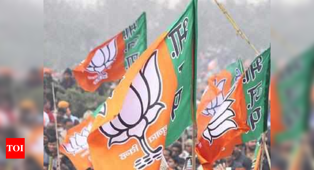 Bjp Releases List Of 46 Candidates For Bihar Polls Bihar Assembly Elections 2020 Election News