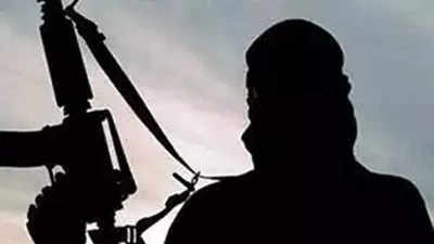 Shopian school under scanner after 13 students found linked to terror groups