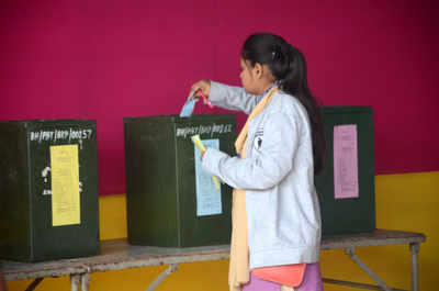 Over 50,000 Voters Opt For Postal Ballot In Bihar Amid Pandemic | Bihar ...