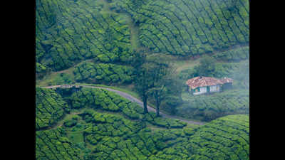 Tourism activities all set to resume in Kerala