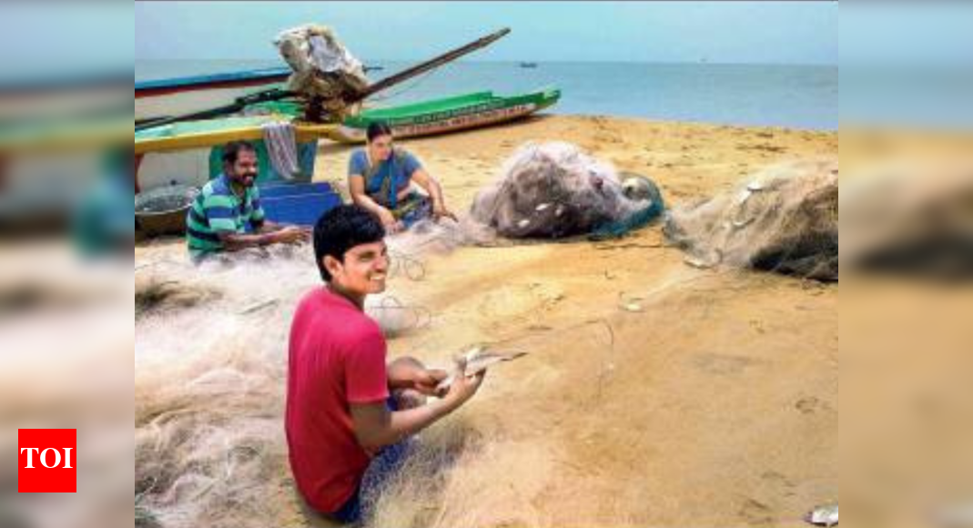 Chennai: Pulicat fishermen move online to sell catch ...