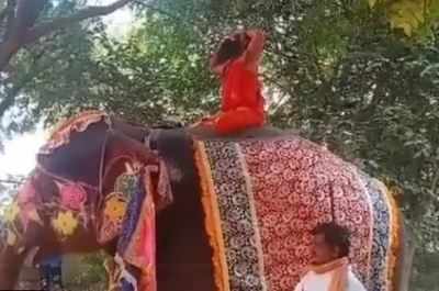 Elephant Tree Yoga