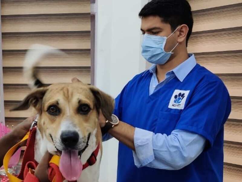On World Food Day, a new ‘pawsitive’ campaign comes into being