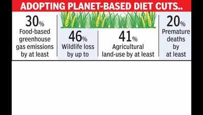 Nagpur: WWF launches planet-based diet for healthy Earth