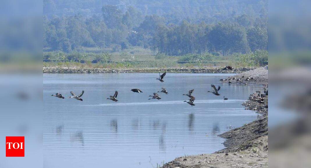 Asan Conservation Reserve gets Ramsar site tag — a first for ...