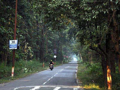 Another ‘Chipko Movement’ in Uttarakhand as residents against felling of 10,000 trees