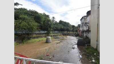 Rains subside but parts of Solapur district remain flooded