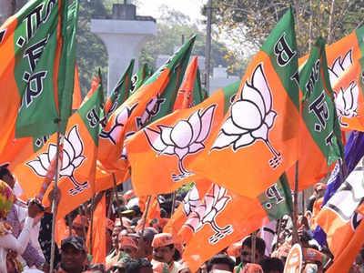 Tatas are the largest political donors, BJP biggest recipient: ADR report