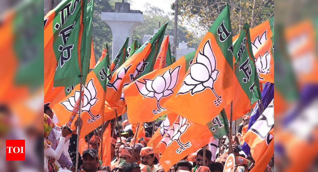 Tatas are largest political donors, BJP biggest recipient: ADR report