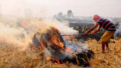 Supreme Court appoints former judge to monitor the stubble fire