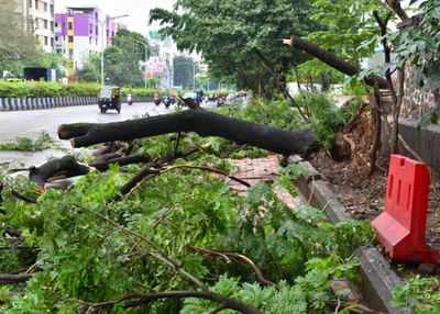 Rains claim 47 lives in Maharashtra, crops damaged extensively