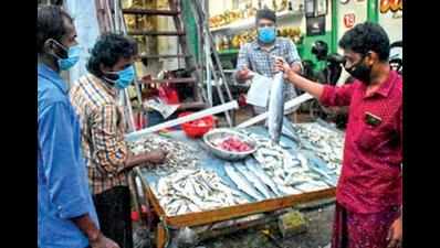 More people try a hand at selling fish for livelihood
