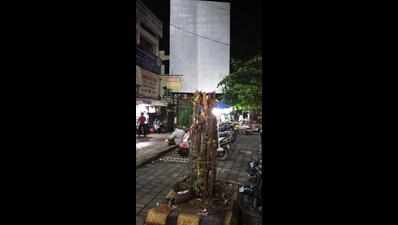 Nagpur: Four years in a row, trees cut to let hoarding be seen