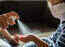 Coronavirus survives on skin five times longer than flu: study