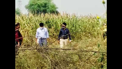 Hathras gangrape: Farmer loses crop to preserve proof