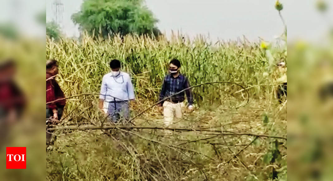 Hathras gang-rape: Farmer loses crop to save proof