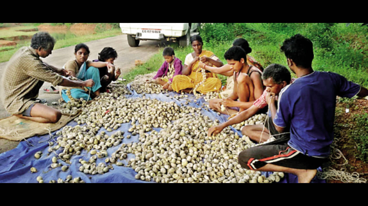 Top Banarasi Silk Saree Wholesalers in Pandri, Raipur-Chhattisgarh - बनारसी  सिल्क साड़ी व्होलेसलेर्स, पंडरी , रायपुर-छत्तीसगढ़ - Justdial