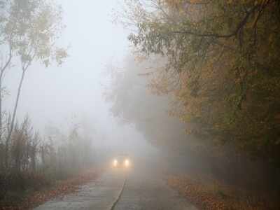 LED Fog Lights For Cars And Bikes For Improved Visibility (December, 2025)
