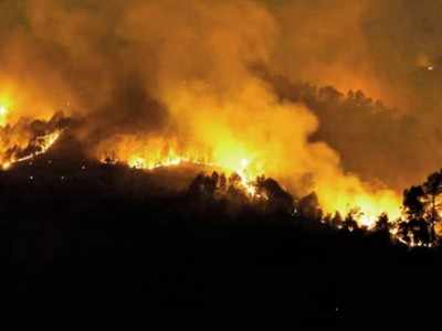 Untimely fires raze 10 hectares of Uttarakhand forest in 2 days
