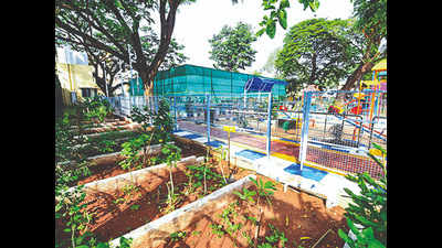 Chennai: Amid concrete jungle at Choolai civic body constructs herbal park