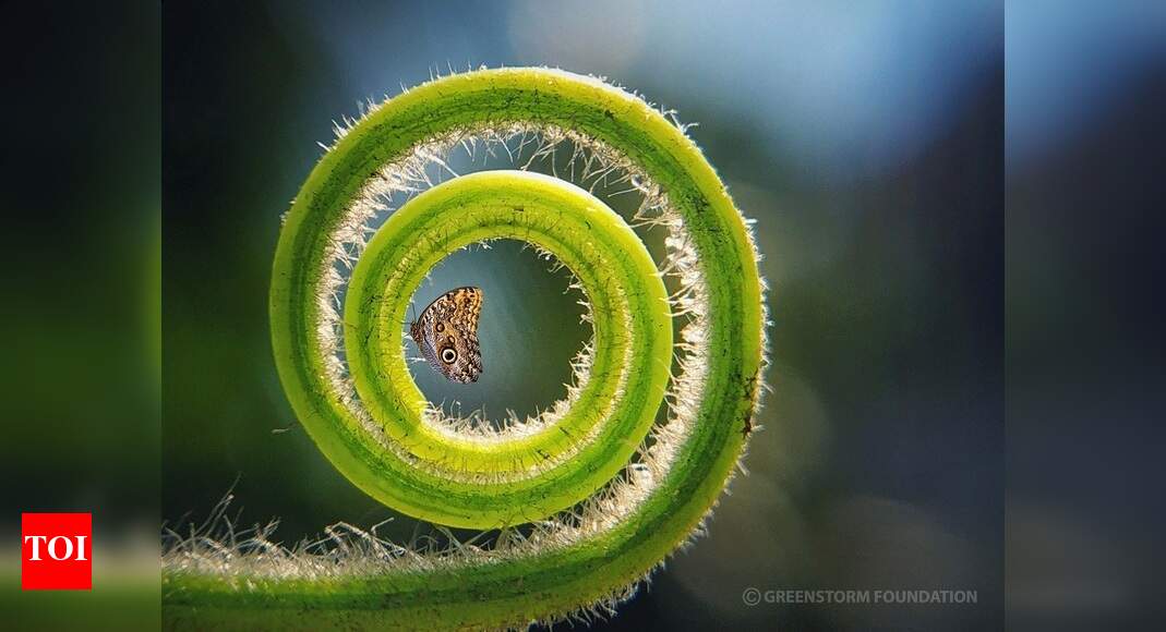 Bangladesh citizen wins photography contest held by Kochi NGO Kochi