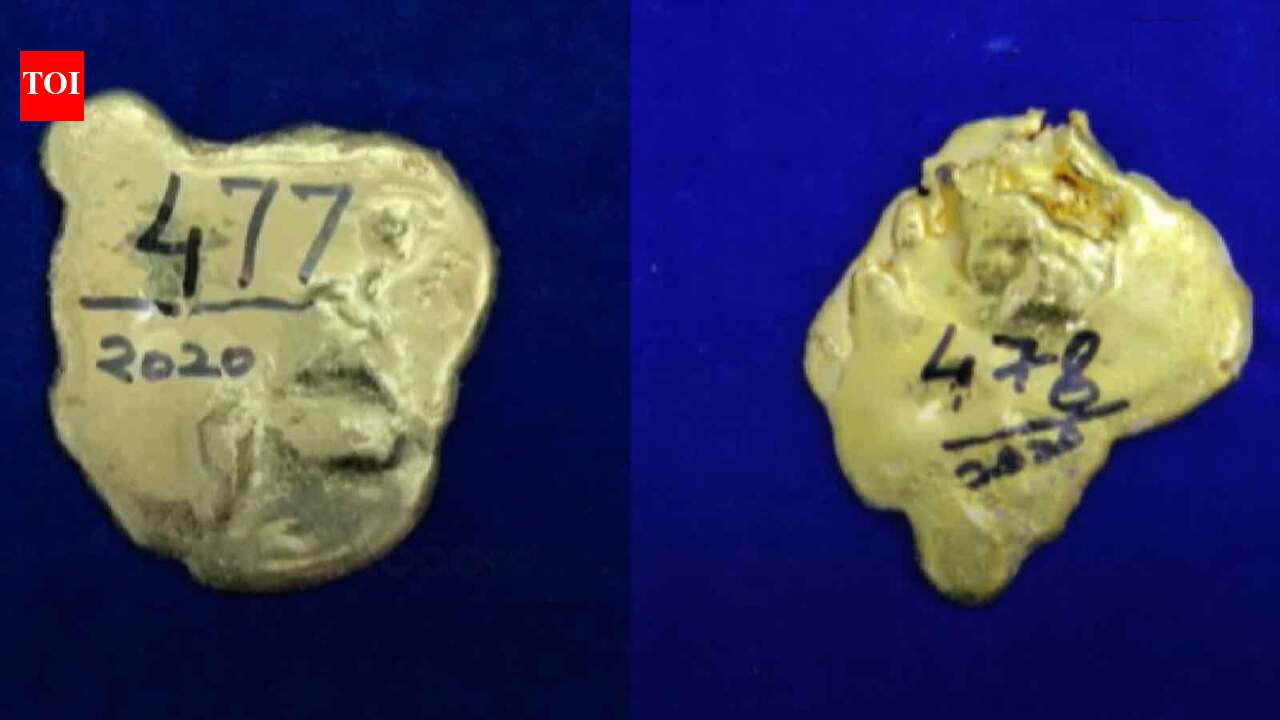 Gold paste concealed in rectum recovered at Chennai airport