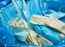 Biomedical waste management urgent to halt Covid-19: UNIDO