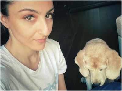 Look who Soha Ali Khan’s spending time with at home