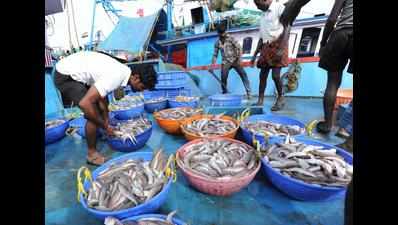 Fish prices soar due to bad weather