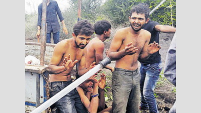 Gujarat HC grants bail to Una flogging case accused